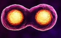 绍兴助孕公司排名前十（绍兴助孕公司有哪些）